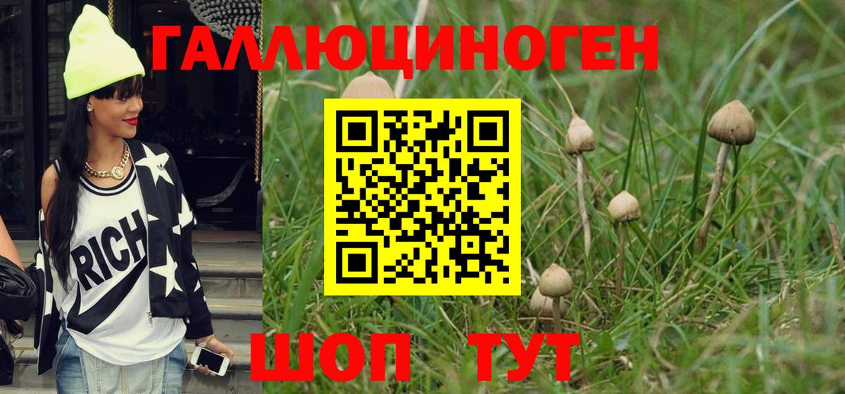 купить наркотики сайты  Жигулёвск  Псилоцибиновые грибы Magic Shrooms 